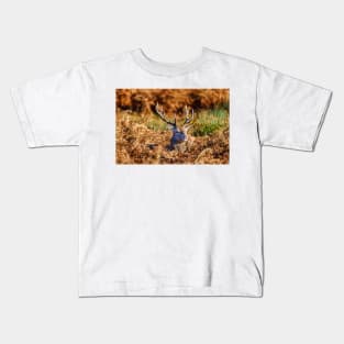 Red Deer Stag in Richmond Park Kids T-Shirt